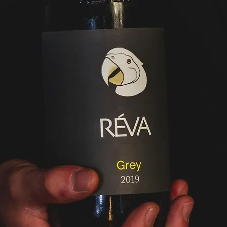 Reva Monforte dʼAlba