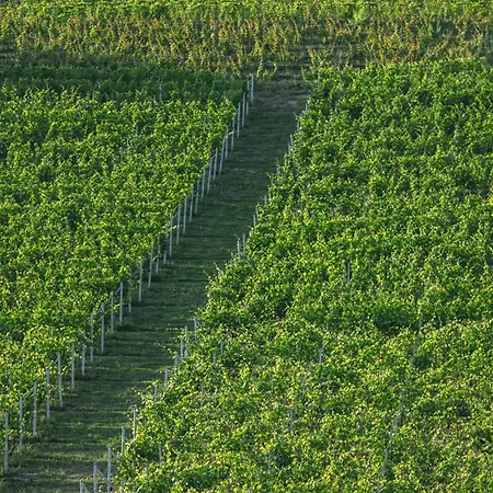 ファームステイ Reva