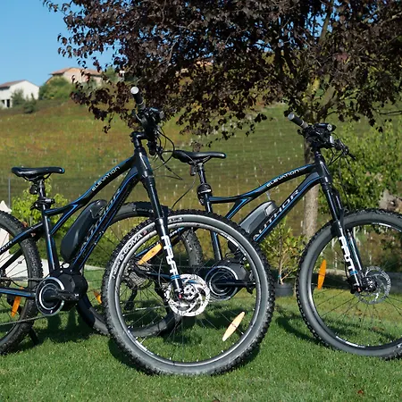 ファームステイ Reva モンフォルテ・ダルバ