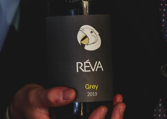 Réva Monforte dʼAlba