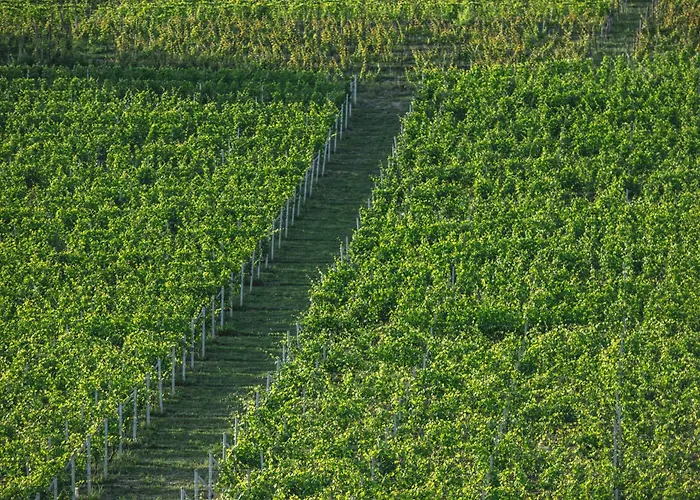 Séjour à la ferme Réva